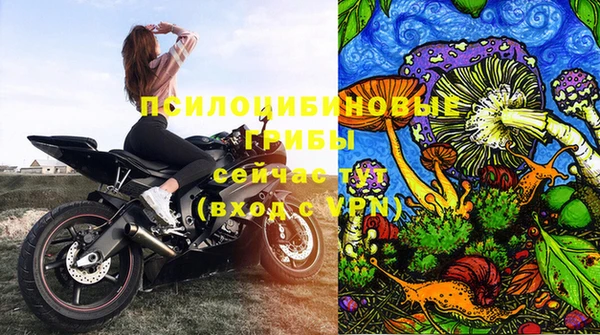СК Балахна